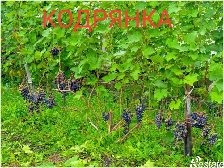 Земельный участок