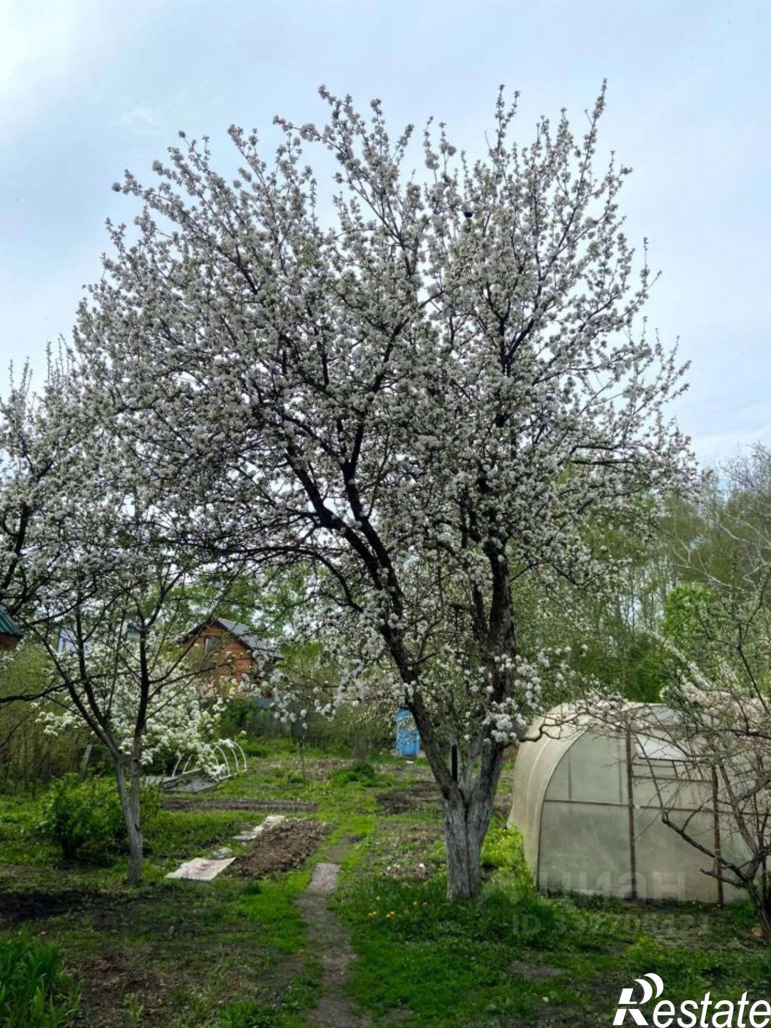 Купить дачу, дом, коттедж за 1 390 000 рублей на СНТ Дружба, 390