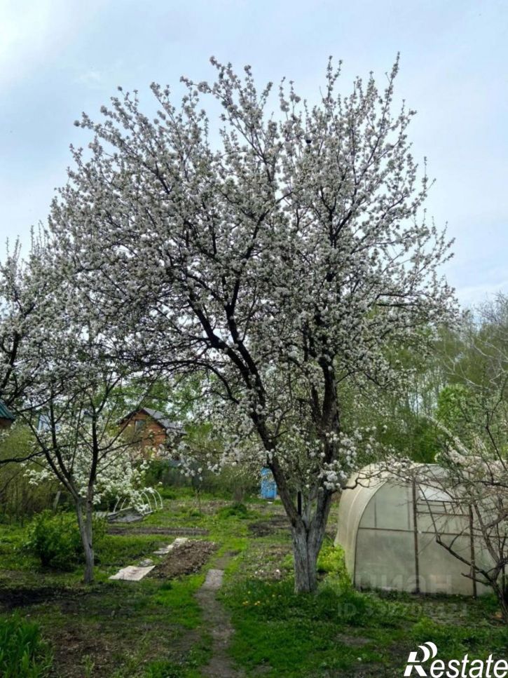 Коттедж/дом СНТ Дружба, 390