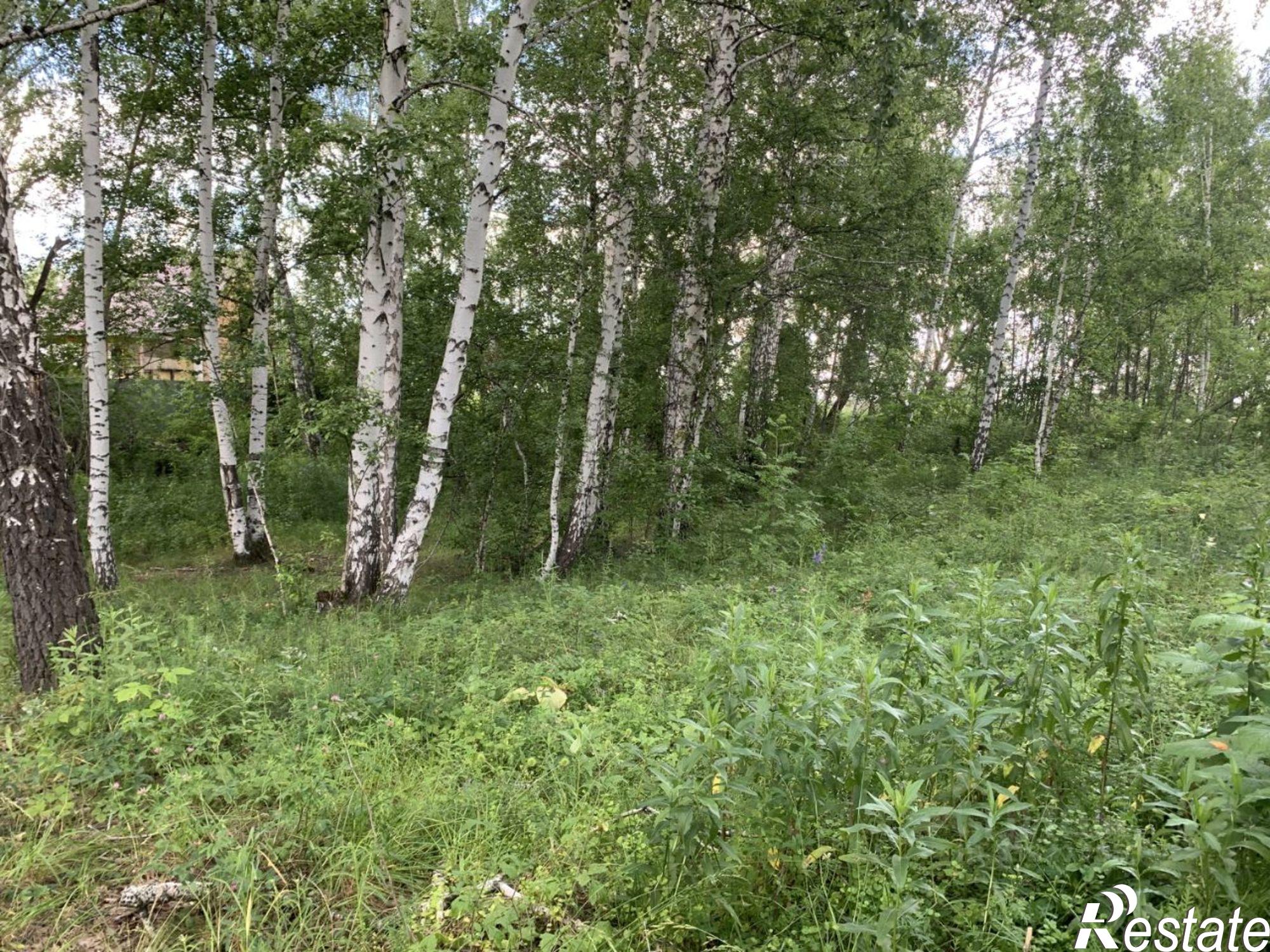 Купить землю, земельный участок за 1 300 000 рублей на СНТ Курочкино-2
